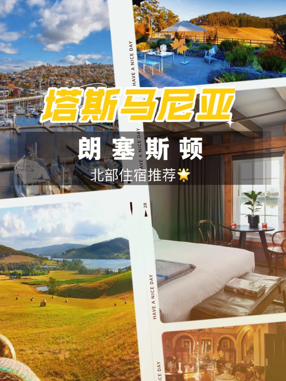 爱游戏官网-塔斯马尼亚联新星爆发，挑战卡尔蒂斯防线坚固