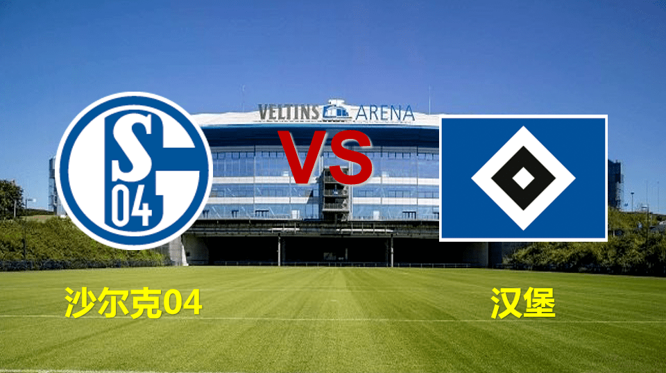 沙尔克全力争胜，实现稳定战绩